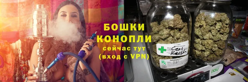 Шишки марихуана SATIVA & INDICA  мориарти Telegram  Зеленокумск 